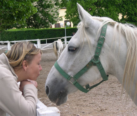 Joanna Culley - Pet Portrait Artist, with a Lipizzaner Horse in Slovenia